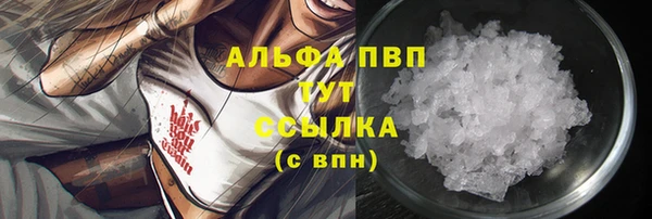 сатива Братск