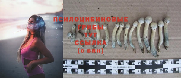 кристаллы Лагань