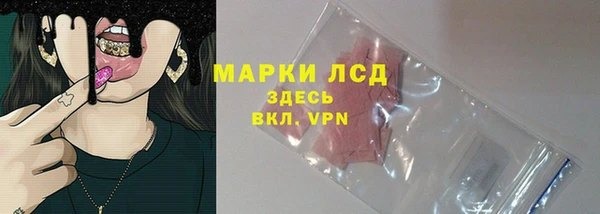 молекула духа Великий Новгород