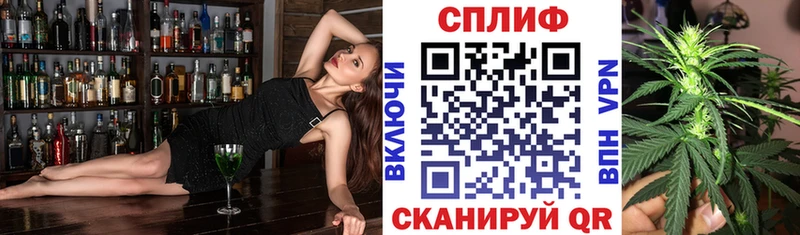Конопля планчик Кирс